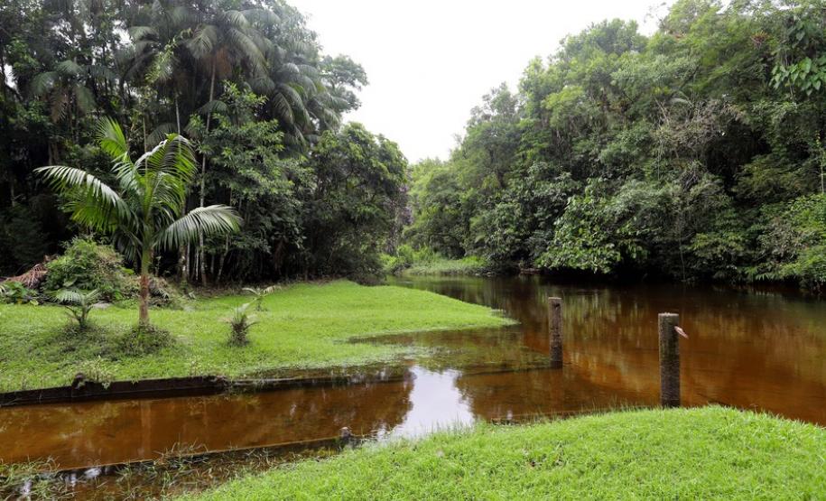 Circuito em torno do Pico Paraná é novo atrativo do Litoral Circuito em torno do Pico Paraná é novo atrativo do Litoral