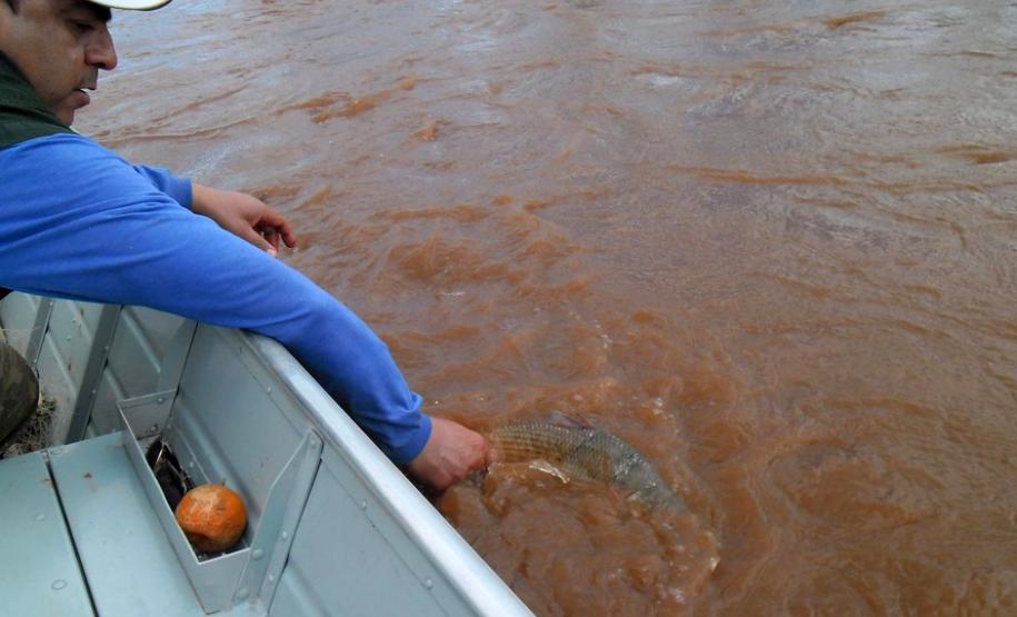 Pesca de espécies nativas está liberada a partir deste sábado