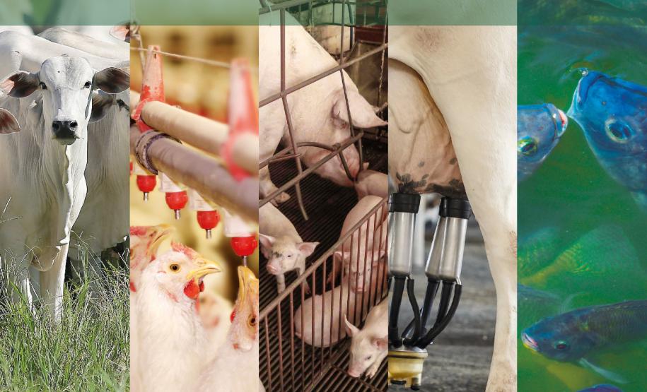 O objetivo do programa é dar agilidade aos processos de liberação de licenciamentos ambientais no campo, promovendo o desenvolvimento sustentável a partir de uma metodologia mais moderna. Para participar basta fazer a inscrição nos links abaixo.