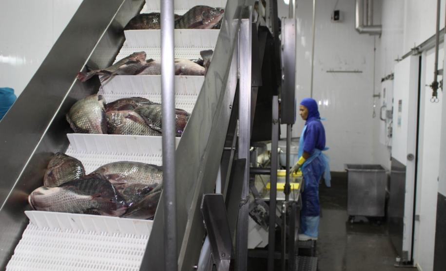 Descomplica Rural é adaptado para continuidade dos licenciamentos ambientais