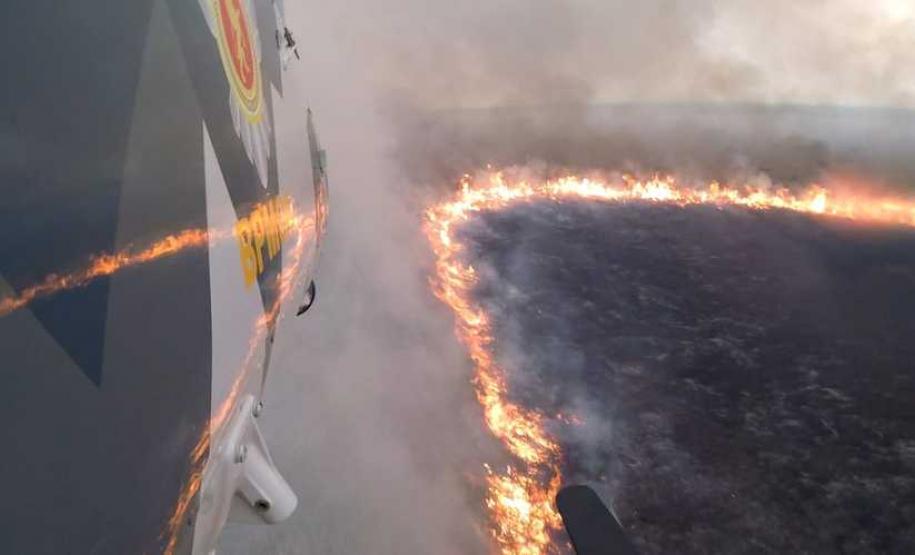 Incêndios ambientais crescem 33% no Paraná no 1.º trimestre