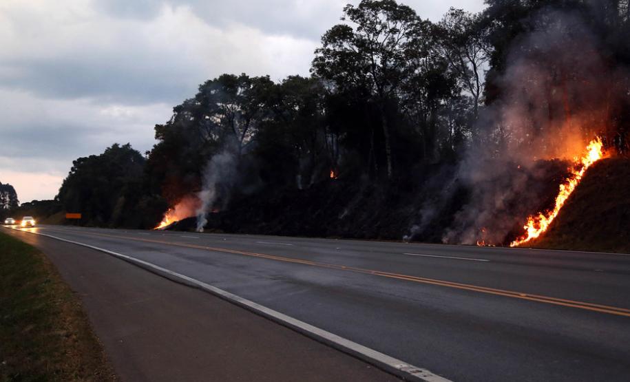 Incêndios ambientais crescem 33% no Paraná no 1.º trimestre