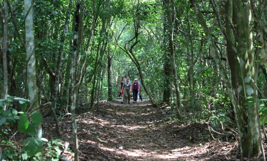 Municípios terão atendimento virtual sobre o ICMS Ecológico