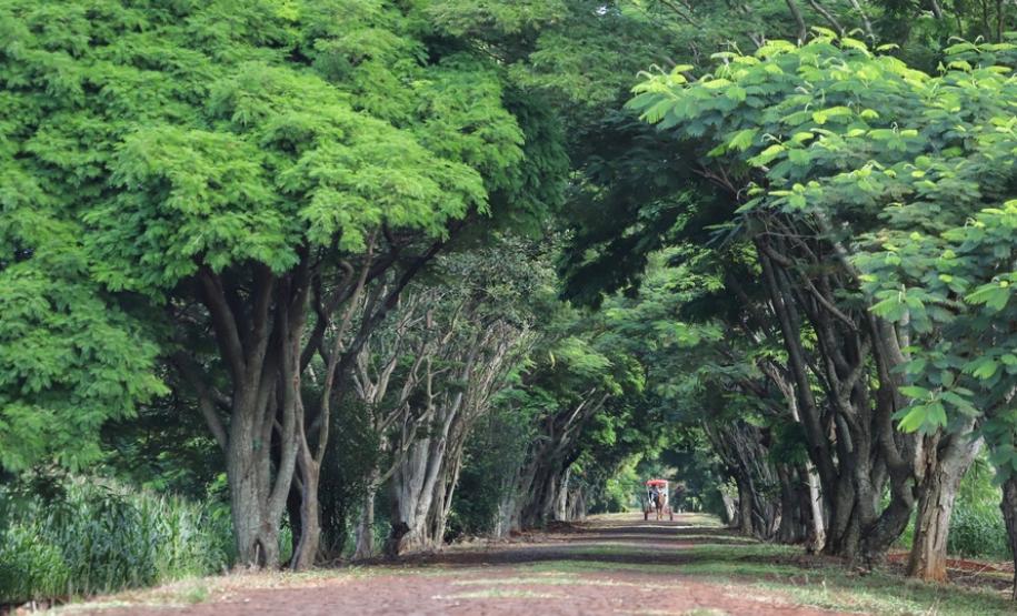 Municípios terão atendimento virtual sobre o ICMS Ecológico