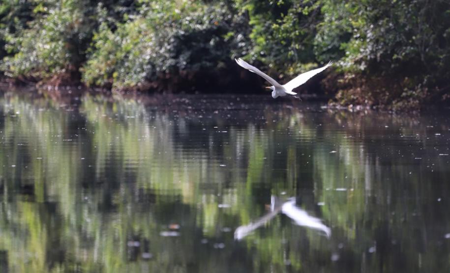 Municípios terão atendimento virtual sobre o ICMS Ecológico