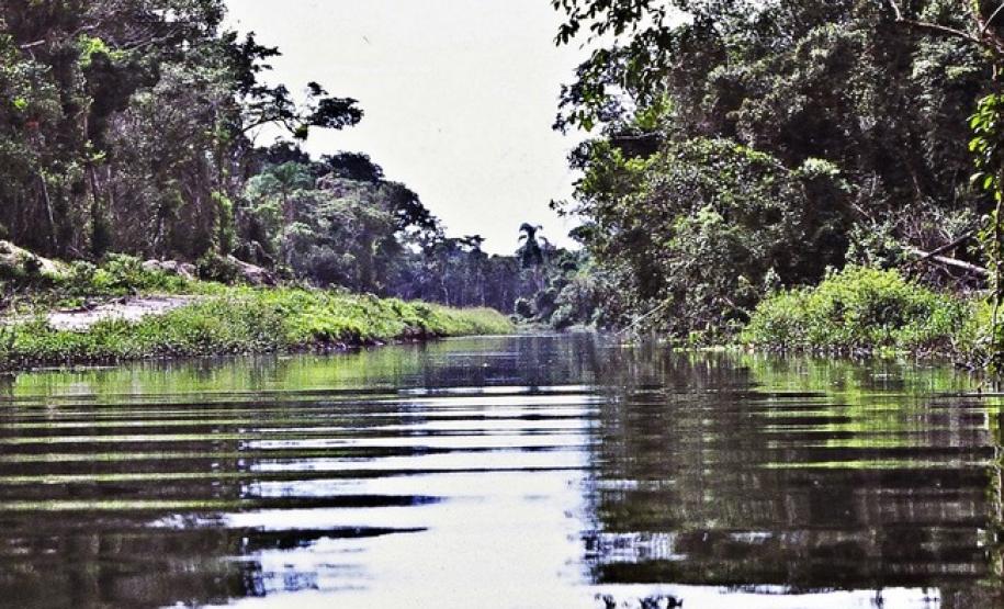 Bacias hidrográficas do Paraná abrigam belezas e potencial turístico