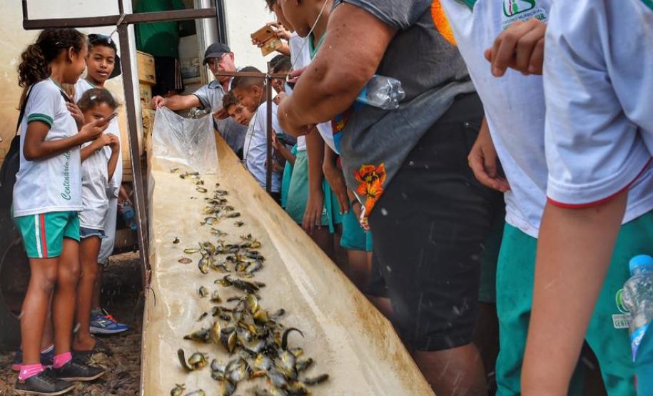 Paraná reestrutura órgãos ambientais e moderniza legislação