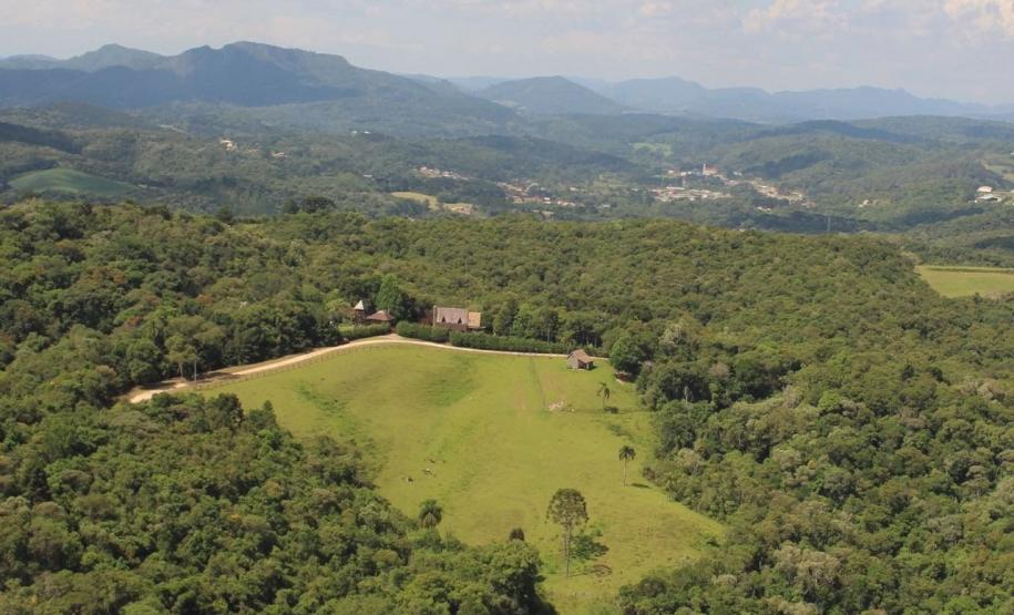 Governo promove ações pelo Dia Mundial do Meio Ambiente Governo promove ações pelo Dia Mundial do Meio Ambiente