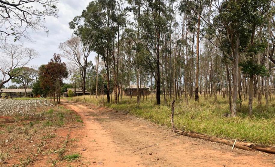 ITCG vai regularizar assentamentos em Cafeara e Santo Inácio ITCG vai regularizar assentamentos em Cafeara e Santo Inácio