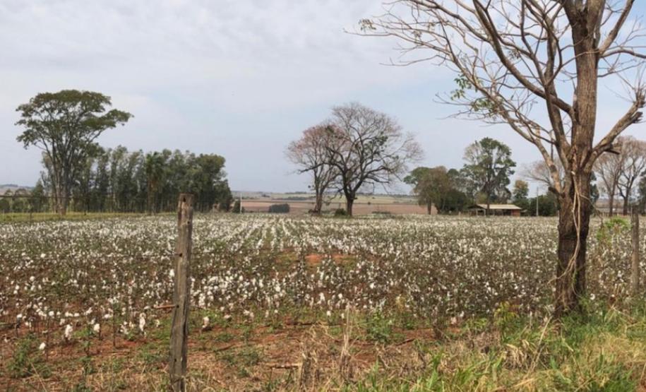 ITCG vai regularizar assentamentos em Cafeara e Santo Inácio ITCG vai regularizar assentamentos em Cafeara e Santo Inácio