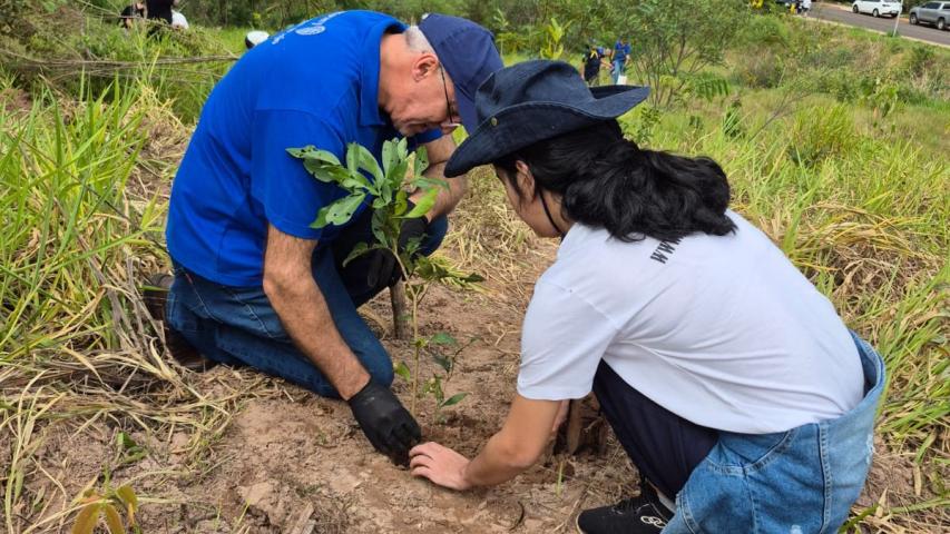 Foto de ação de plantio de mudas